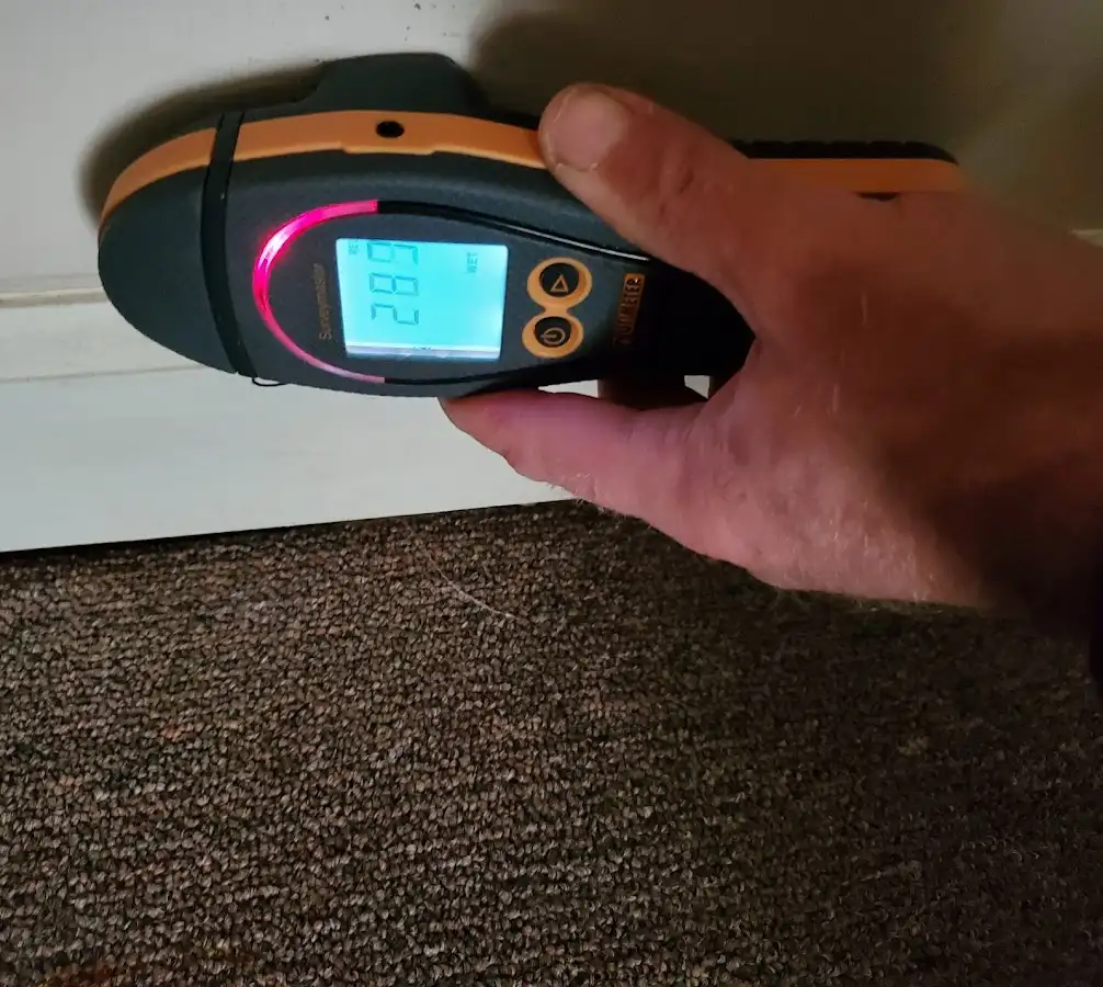 Moisture detection at baseboard during Mold Inspection & Testing in Winfield